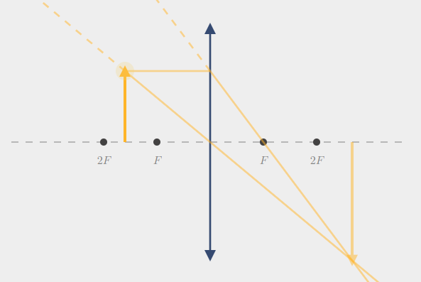 Convex lens: image formation